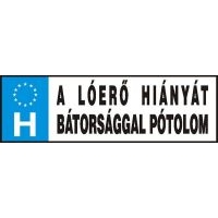 RENDSZÁM A LÓERŐ HIÁNYÁT...